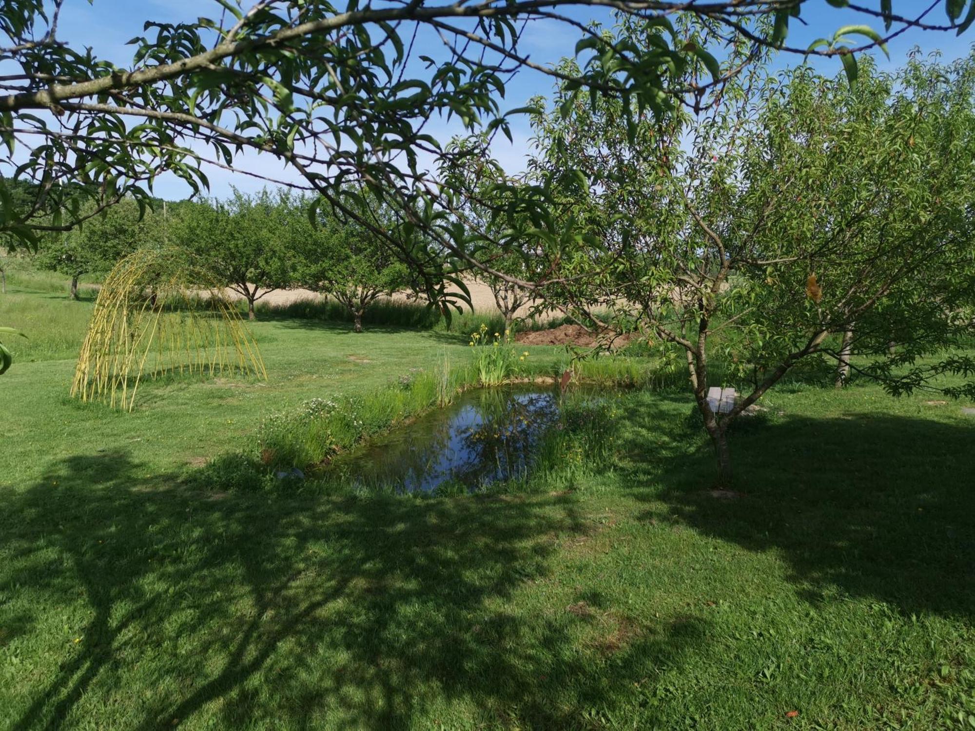 La Ferme De La Terve Bed & Breakfast Bruailles Exterior photo